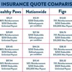 Pet insurance coverage